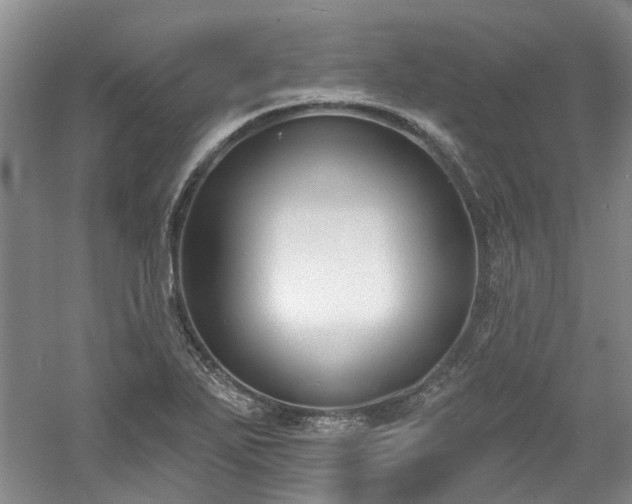 X0000061101271200511181054