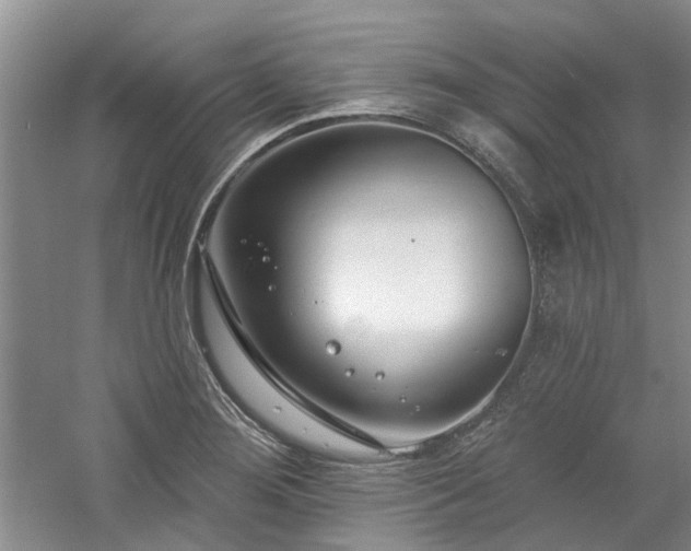 X0000061101276200511181054