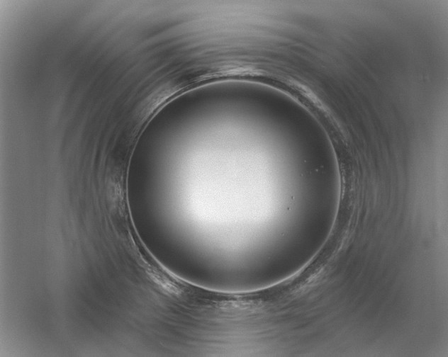 X0000061101281200511181053