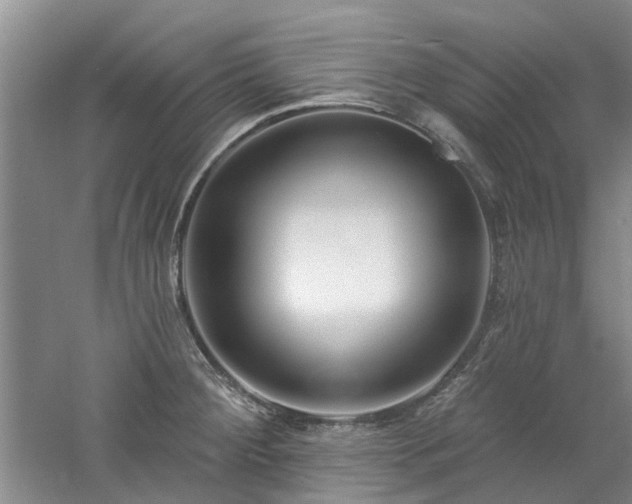 X0000061101284200511181053
