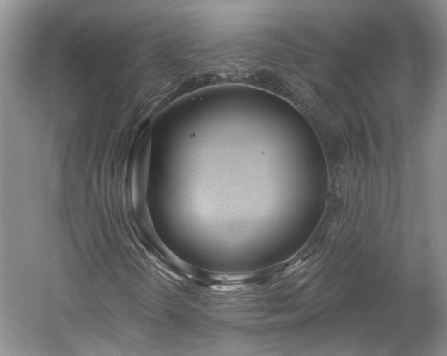 X0000061101298200511181052
