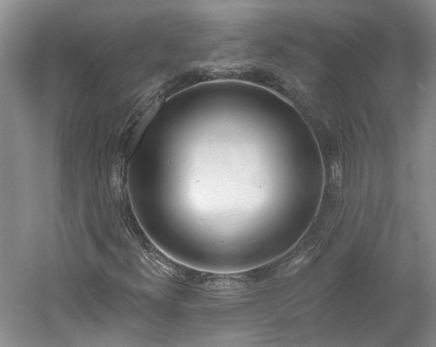 X0000061101300200511181052