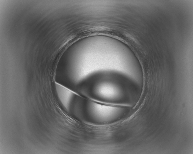 X0000061101305200511181053