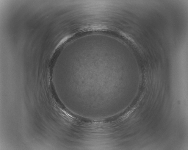 X0000061101306200511181053