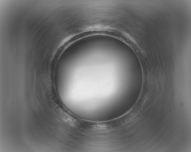 X0000061101315200511181053