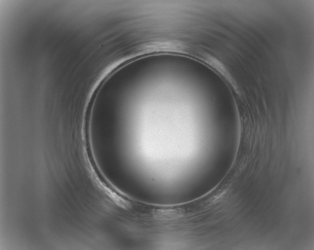 X0000061101339200511181053