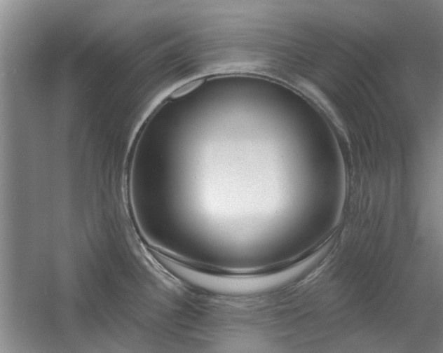 X0000061101340200511181053