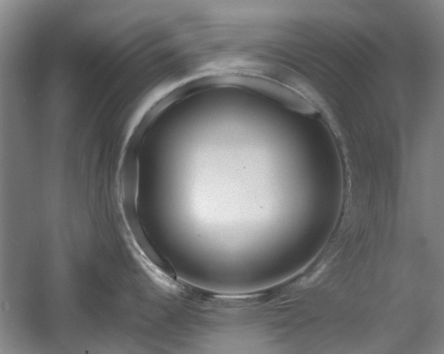 X0000061101344200511181053
