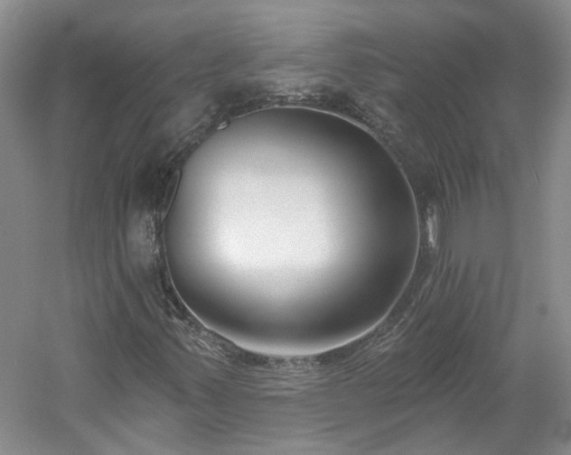 X0000061101347200511181052