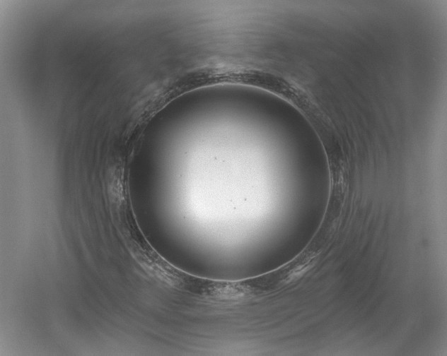 X0000061101348200511181052