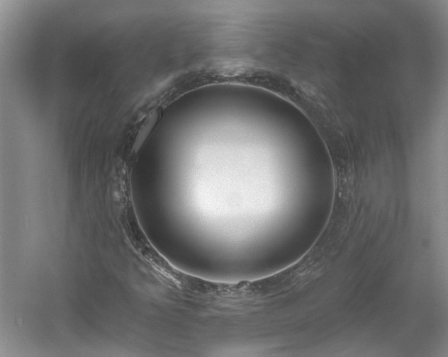 X0000061101349200511181052