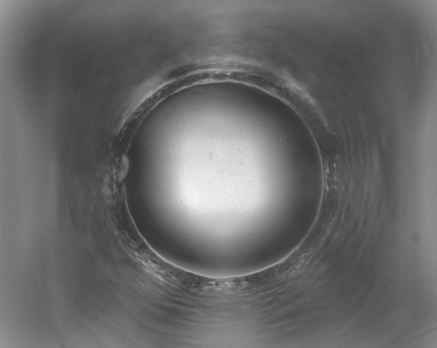X0000061101352200511181052