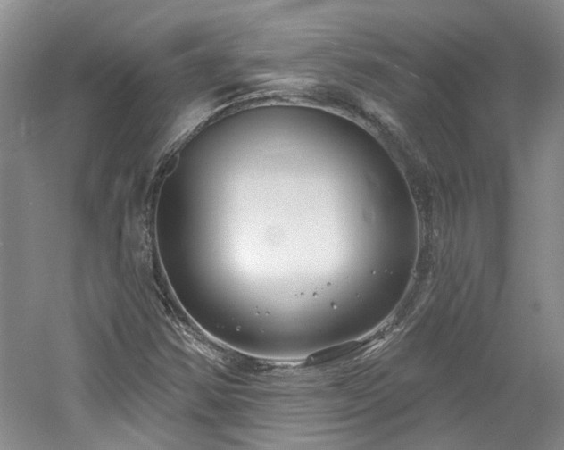 X0000061101354200511181052