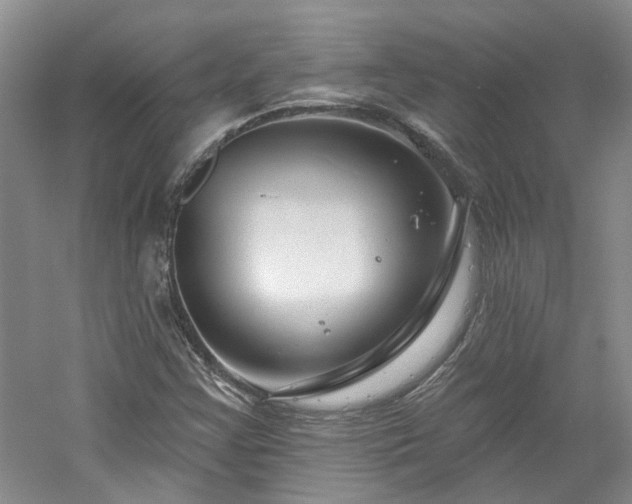 X0000061101355200511181052