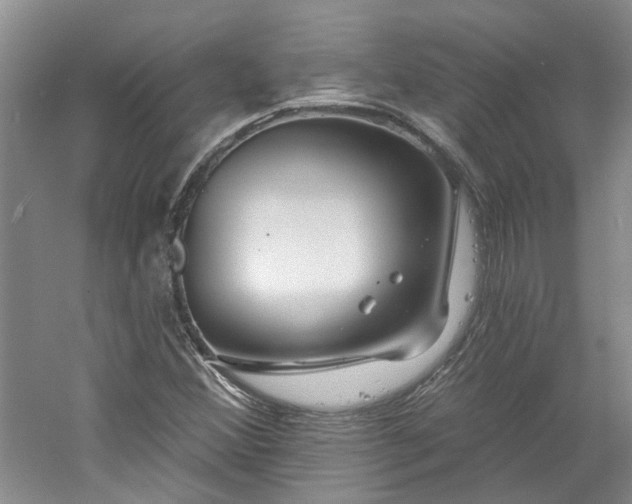 X0000061101356200511181052