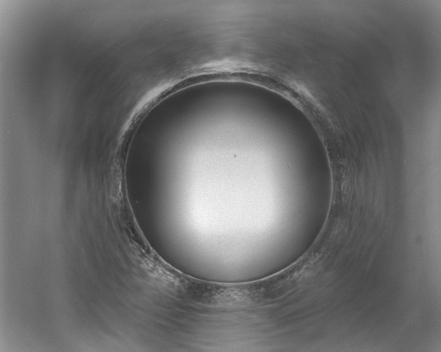 X0000061101358200511181052
