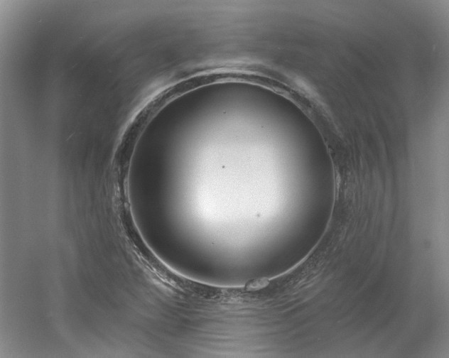 X0000061101360200511181052