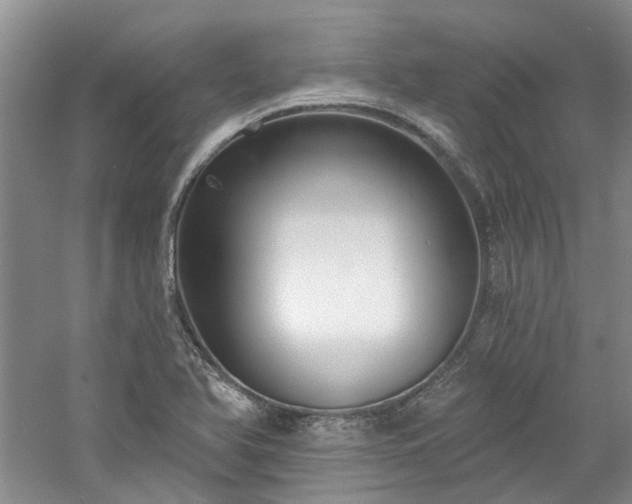 X0000061101366200511181052