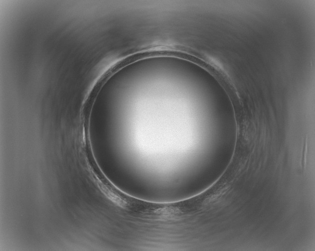 X0000061101368200511181052