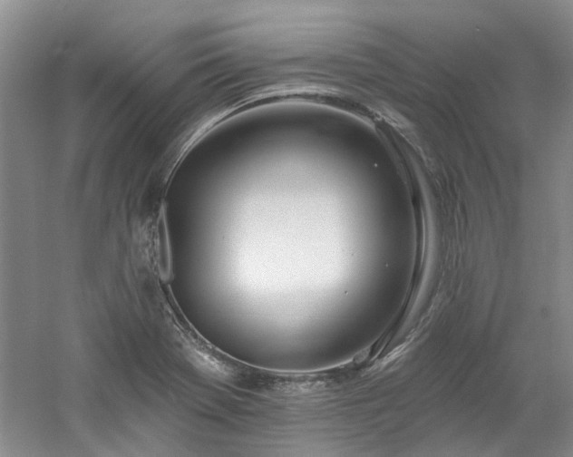 X0000061101369200511181052