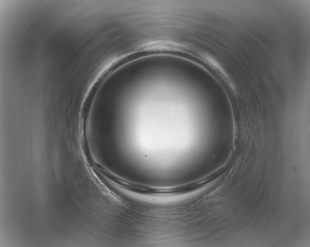 X0000061101376200511181052