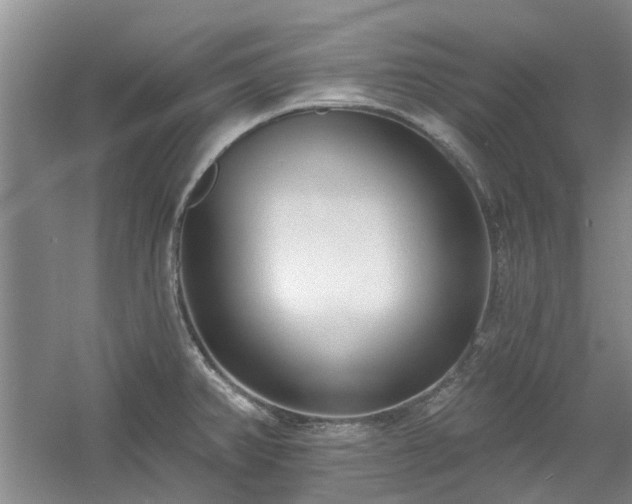 X0000061101382200511181052