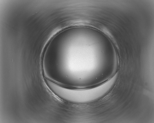 X0000061101384200511181052
