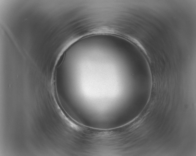 X0000061101387200511181052