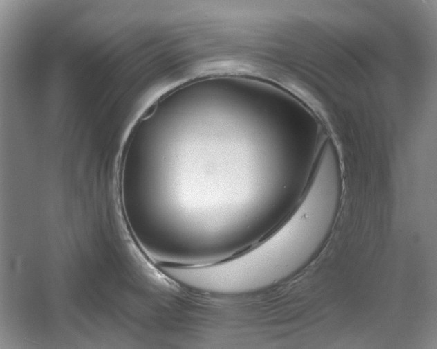 X0000061101392200511181052