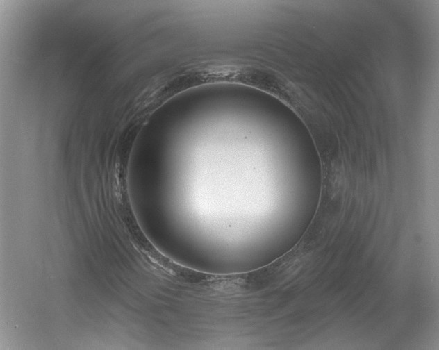 X0000061101394200511181051