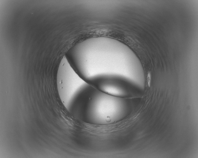 X0000061101395200511181051