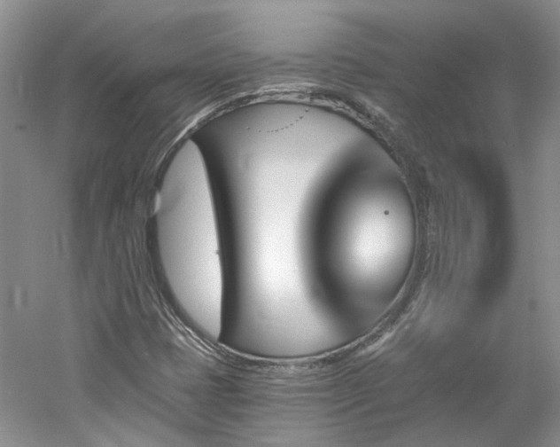 X0000061101401200511181051