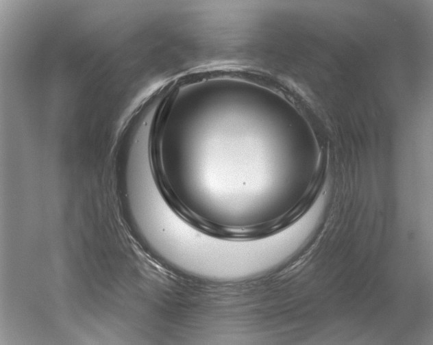 X0000061101406200511181051