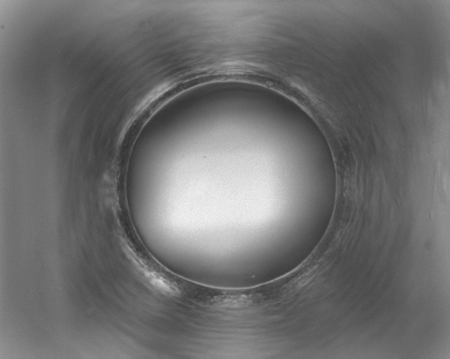 X0000061101410200511181051