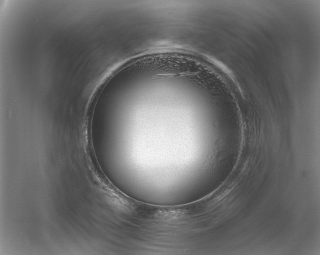 X0000061101415200511181051