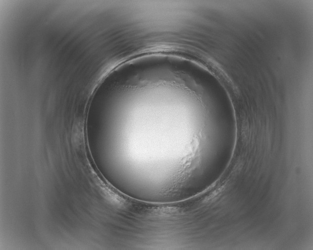 X0000061101417200511181051