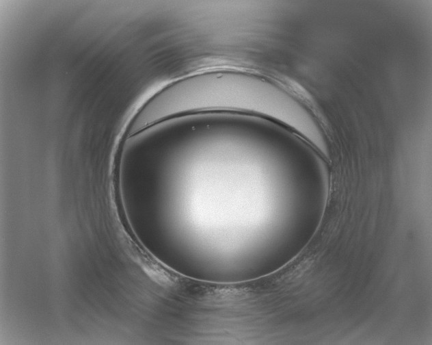X0000061101427200511181051