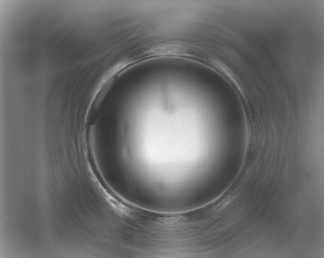 X0000061101434200511181051