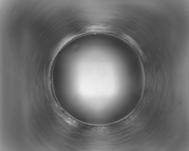 X0000061101435200511181051