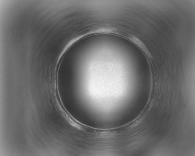 X0000061101436200511181051