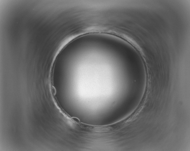 X0000061101440200511181052