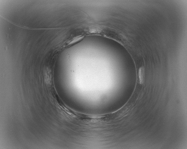 X0000061101443200511181051