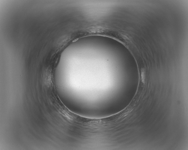X0000061101444200511181051