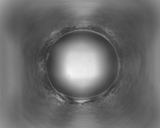 X0000061101445200511181051