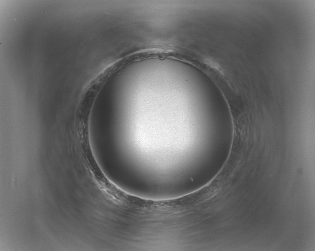 X0000061101448200511181051