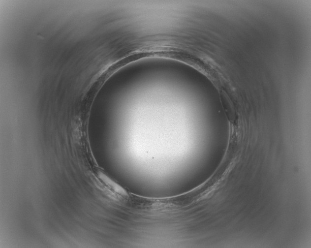 X0000061101449200511181051