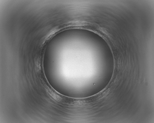 X0000061101451200511181051