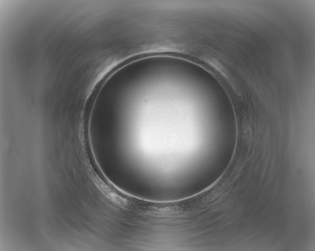 X0000061101460200511181050