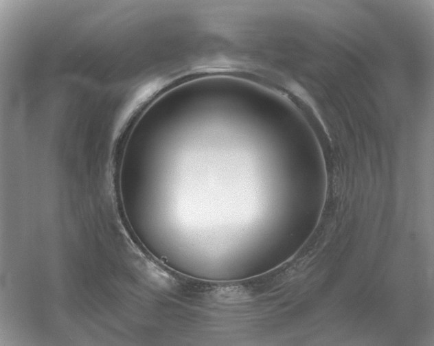 X0000061101464200511181050