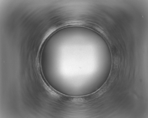 X0000061101466200511181050